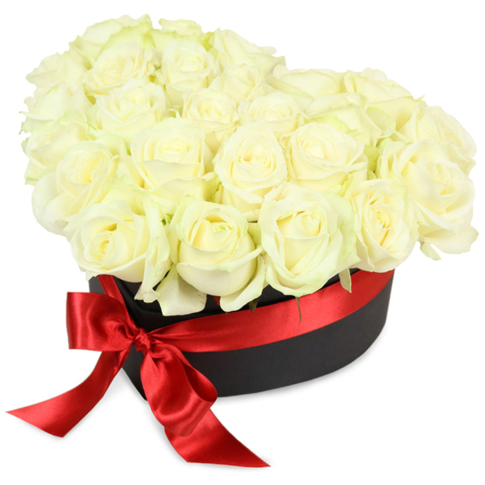 This lavish arrangement from Archway brings together over two dozen velvety white roses, each bloom expertly chosen for fullness and vitality, enclosed within a stylish, matte black cylindrical hatbox. The roses, ranging from newly budded to fully opened, display creamy white petals touched with a hint of green at their bases, clustered together in a delicately domed tapestry that brims over the top of the container. Surrounding this abundance, a striking red satin ribbon wraps seamlessly around the hatbox, culminating in a beautifully tied bow at the front left, its long, trailing ends introducing a vivid splash of color that accentuates the timeless strength and purity of the petals. The composition sits proudly against a brilliant white background, bathed in gentle, even lighting that highlights the interplay between the crisp lines of the container, the feathery nuance of the floral display, and the luxurious gleam of the ribbon. Created with local attention to detail, this premium gift box is ideal for meaningful occasions-a symbol of love for anniversaries celebrated near Archway Tavern, a dignified gesture for ceremonies along Junction Road, or an elegant centrepiece for any special gathering in Archway. Every element is crafted to reflect heartfelt emotion, classic style, and the high standard of floristry in this north London neighbourhood.