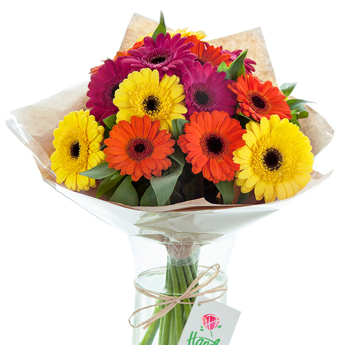 Standing proudly against a crisp white backdrop, this exuberant bouquet of Gerbera daisies reflects the lively heart of Archway-each flower seemingly alive with its own personality. A radiant cluster of blooms in brilliant yellow, vibrant orange, and luxurious magenta surrounds deep, inky-black centres, creating a dramatic interplay of light and shade. Interspersed glossy foliage lends lushness and volume to the arrangement, reminiscent of gardens tucked behind the streets of Archway and the leafy alcoves near Archway Station. The upper section of the bouquet is wrapped in softly textured, light brown kraft paper, its rustic warmth complementing the urban chic sensibility of the design. A protective layer of glossy, gently crinkled cellophane fans out to shield the blooms, catching the ambient light and adding a touch of modern elegance. The clean, elongated stems reach gracefully into a clear hourglass vase filled with fresh water, ensuring each Gerbera remains lively and radiant. Around the bundled stems, a loop of natural twine holds a small white tag with a delicate floral illustration, hinting at personalized attention and the tradition of neighborhood gifting. The overall effect conjures the sense of celebration and heartfelt connection that Archway's local florists foster, making this image a perfect fit for occasions-from birthdays to anniversaries-to brighten any room or mark a special milestone within the community.