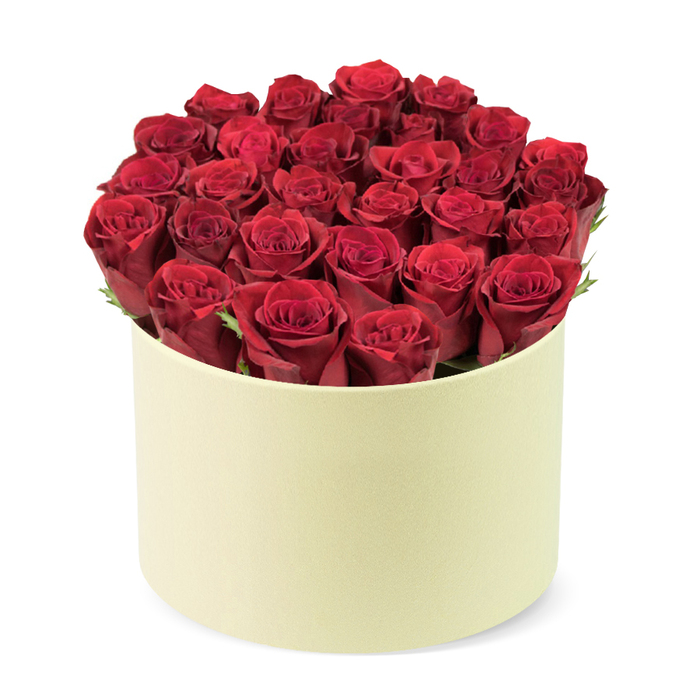 An elegant, high-impact arrangement featuring roughly twenty-four or more deep red roses, meticulously placed to fill a round, cylindrical box. Each bloom shows tightly furled petals in a luxurious dark crimson, with several buds revealing the spirals of their cores as they begin to open. Subtle hints of dark green foliage appear between the heads, giving natural contrast and life. The container is a smooth ivory box with a matte finish, its quiet elegance providing a soft stage that makes the roses' velvety texture sing. Set against a pristine white background, the piece reads as a premium gift, quietly opulent and timeless, ideal for romance, Valentines Day, anniversaries, or any moment that calls for heartfelt sentiment. Archway customers can order for same-day delivery across Archway and nearby streets; Archway Flowers will bring this luxurious gift to your door with freshness and craft, backed by local expertise and a smile.