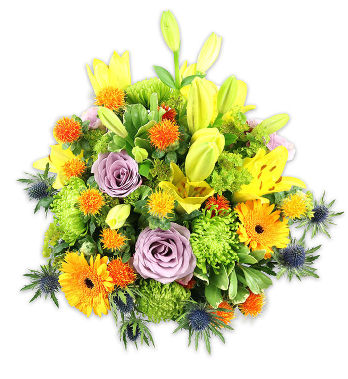 Presented on a stark white background to let every hue and texture sing, this densely composed bouquet brings together warm yellows and oranges, cool lavender, vivid greens and deep blue-grey accents for a sophisticated, joyful statement. Several yellow Asiatic lilies reach upwards, their open faces revealing speckled petals and elegant stamens, while companion buds sit elongated and hopeful, adding upward movement. Two to three lavender-hued roses are tucked centrally, their soft spirals of petal lending a romantic stillness amid brighter companions. Large orange Gerbera daisies act as bright focal stars, their flat petal rays contrasting with the cushiony mass of chartreuse-green button chrysanthemums that ripple through the arrangement like pockets of moss. Scattered small globe-like orange and golden buttons introduce playful sparks of colour, while the indigo-blue sea thistles (Eryngium) with their spiky, architectural bracts appear around the lower and side edges, providing a compelling cool counterpoint to the warm spectrum. The bouquet is rounded out by a variety of glossy and textured foliage-lily leaves, slender blades and smaller filler greens-that unify the composition and add organic depth. In soft daylight the colours read as warm and uplifting, the scent a gentle floral whisper; the piece fits many uses from celebratory centrepiece to a comforting bedside tribute. A local florist in Archway would recommend it for birthdays, thank-you gestures, new-baby visits or to brighten a flat near Highgate Woods or the cafés along Holloway Road, where its cheerful presence complements neighbourhood life.
